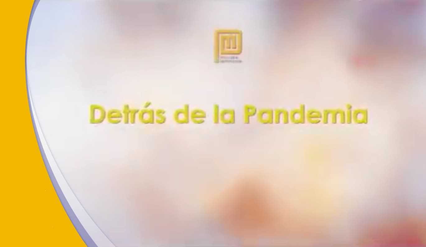 Detrás de la pandemia I