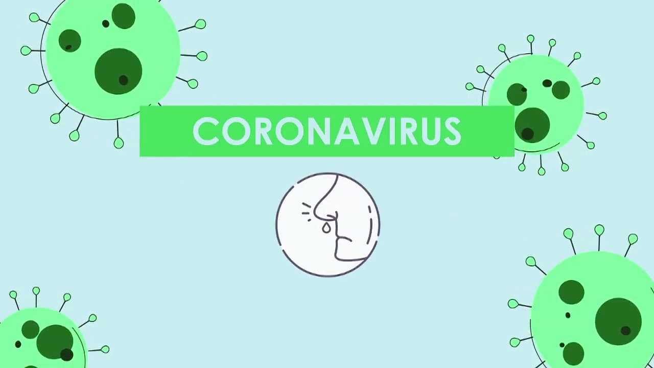 COVID-19: ¿Cómo llegamos hasta aquí?