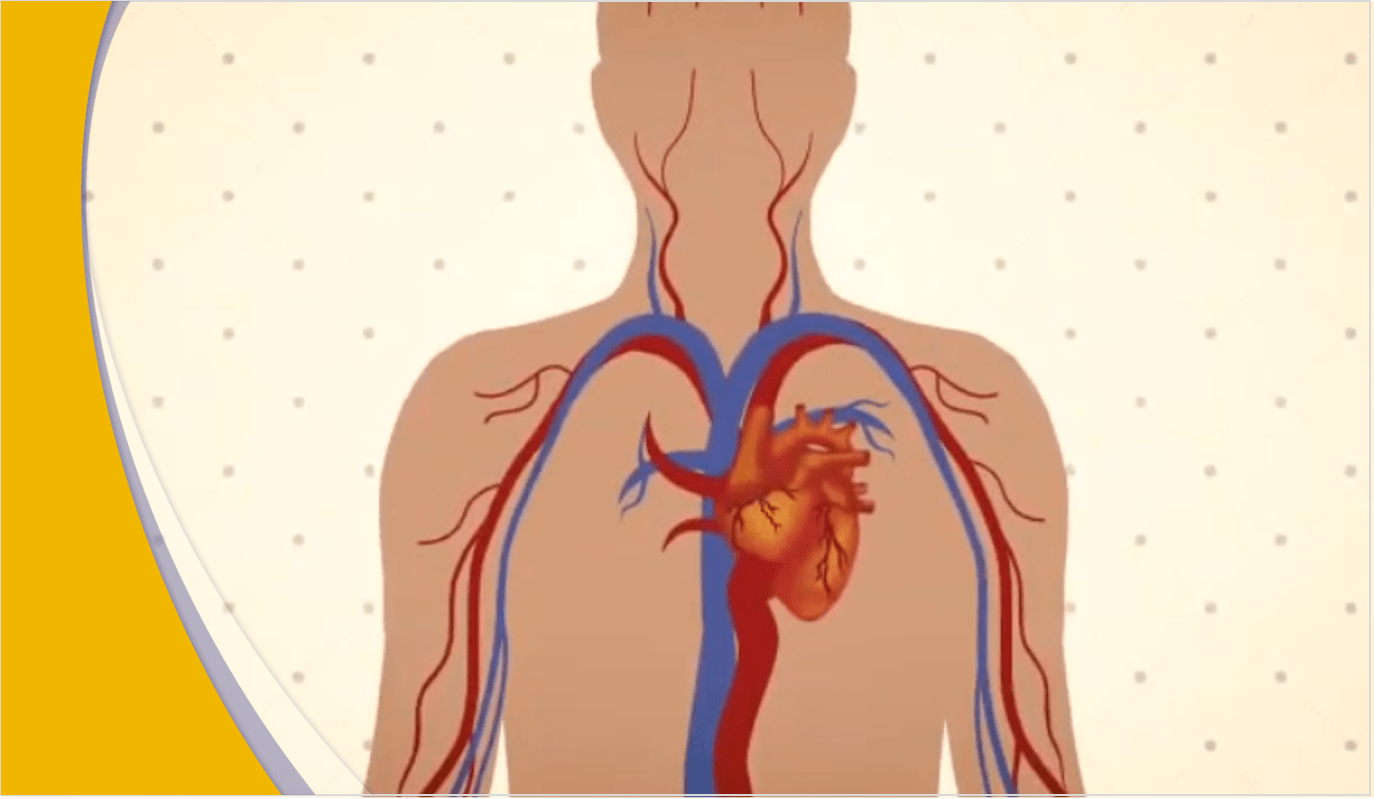 Hipertensión arterial ¿Por qué ocurre y cómo se detecta?