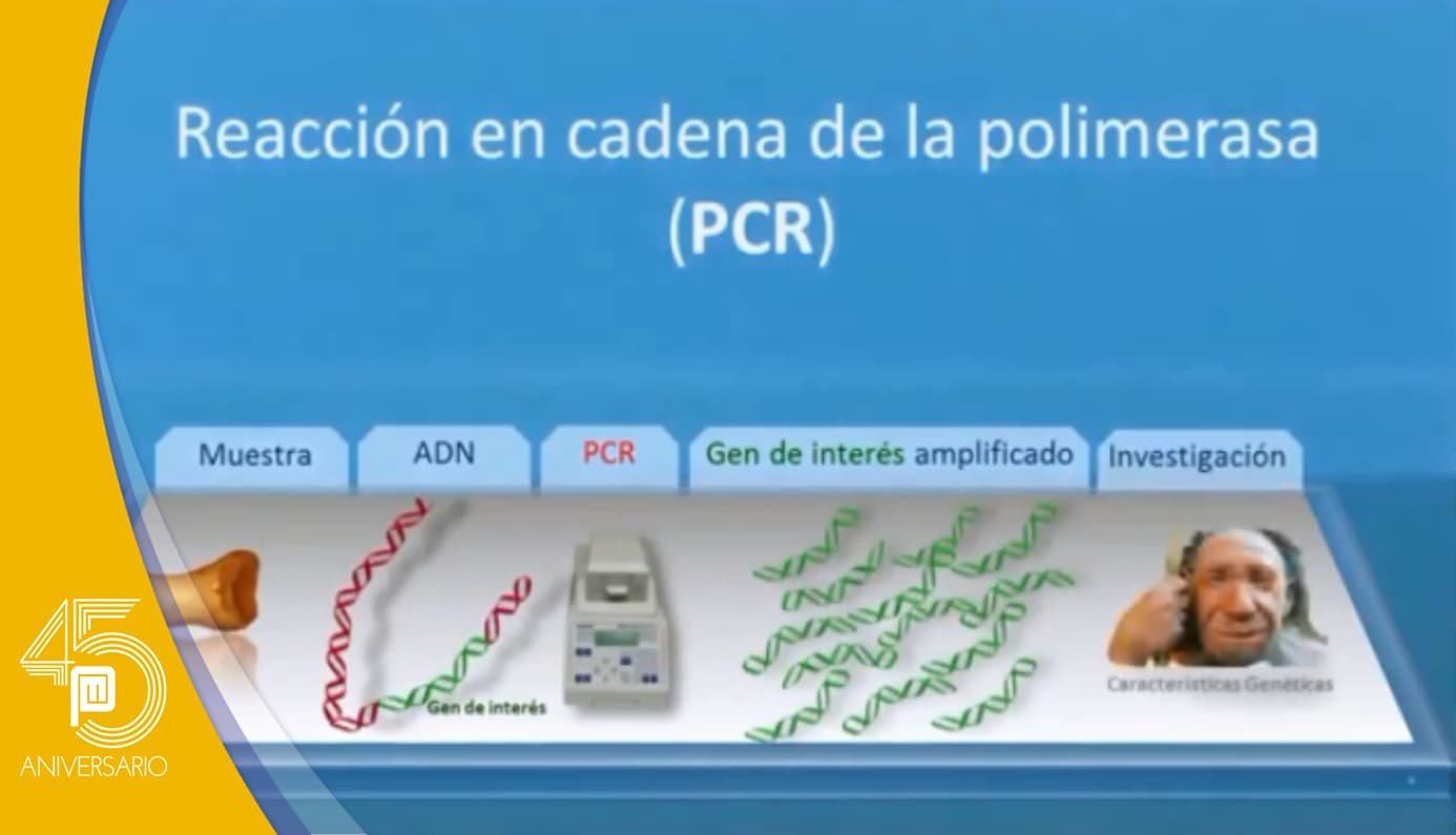 ¿Cómo funciona la Prueba PCR?
