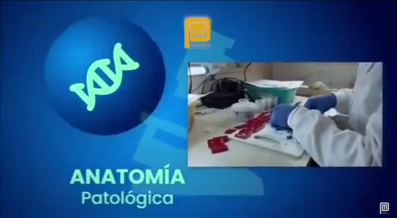 Anatomía Patológica