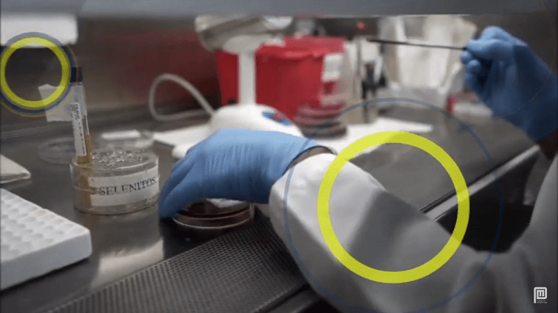 Bacteriología y Microbiología