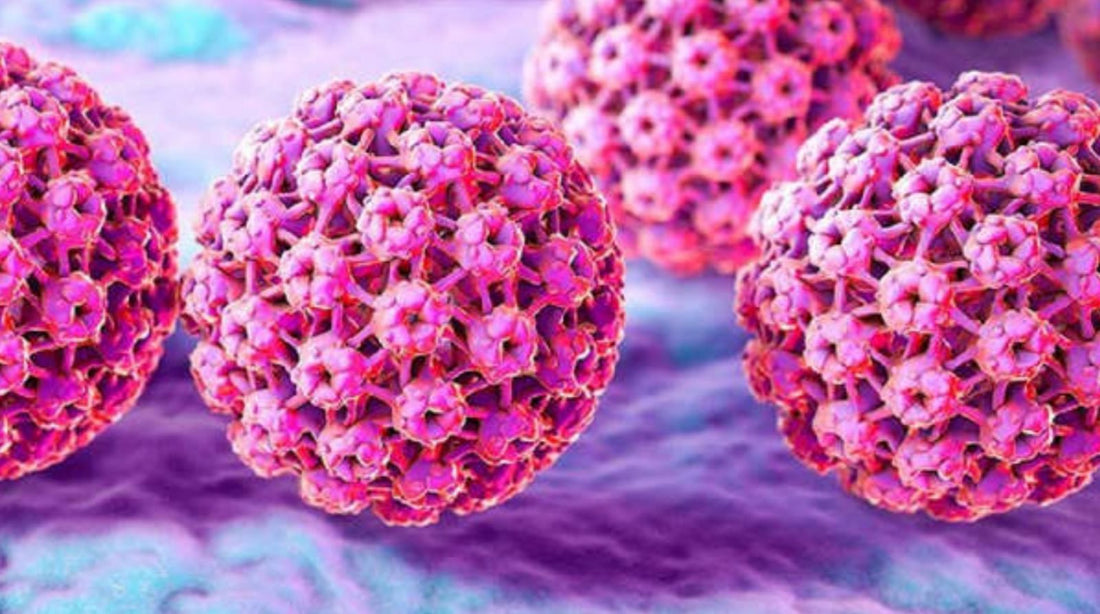 Virus del Papiloma Humano (VPH)