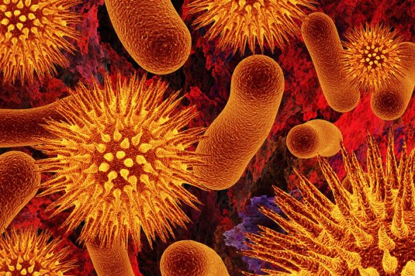 local Indefinido práctico Cuáles son las bacterias más peligrosas para el ser humano?