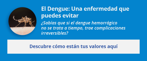 Es necesario cuidarse con el Dengue Hemorrágico