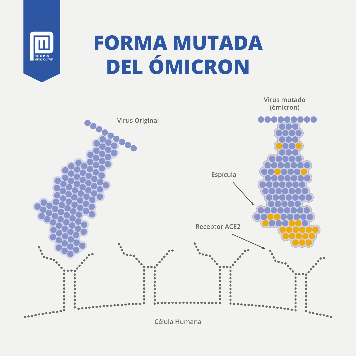 forma mutada del ómicron