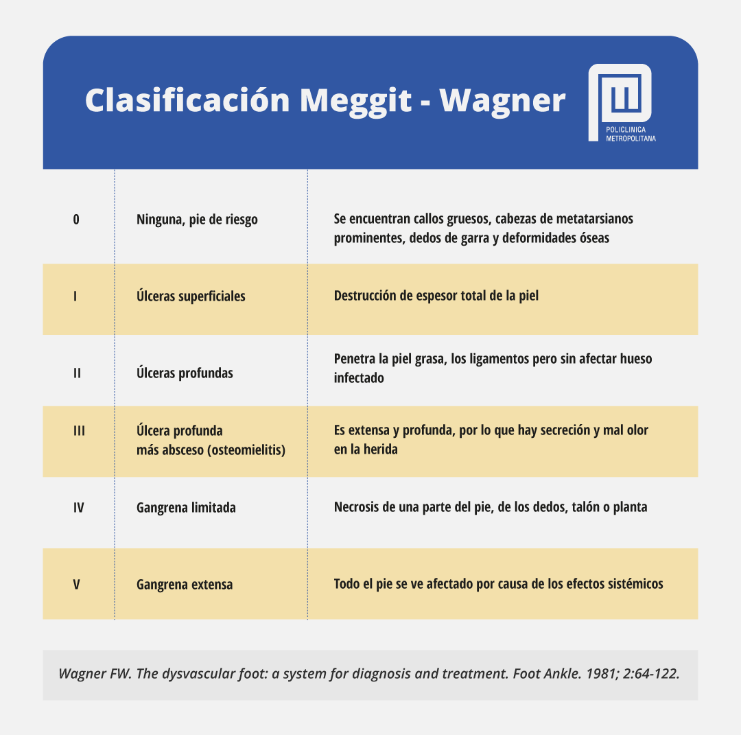 clasificación Meggit wagner