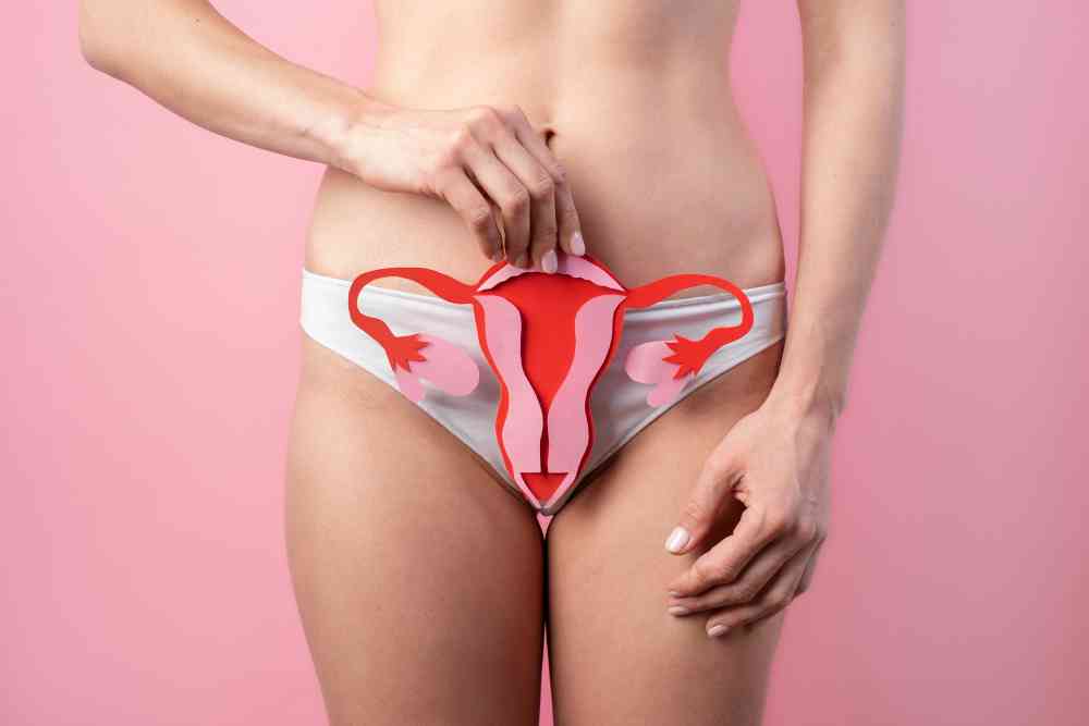 Síntomas comunes durante las fases del ciclo menstrual - mujer sosteniendo aparato reproductor femenino