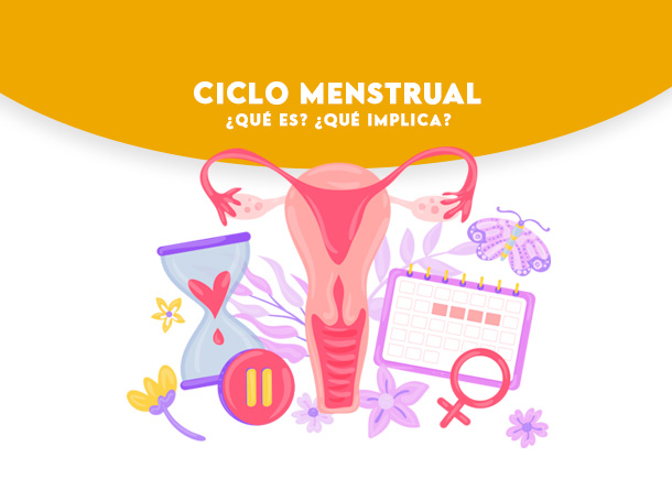 bnn-ciclo-menstrual